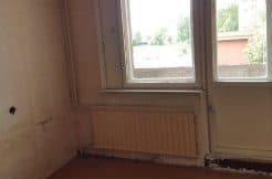 klaipeda banduziai luzu g